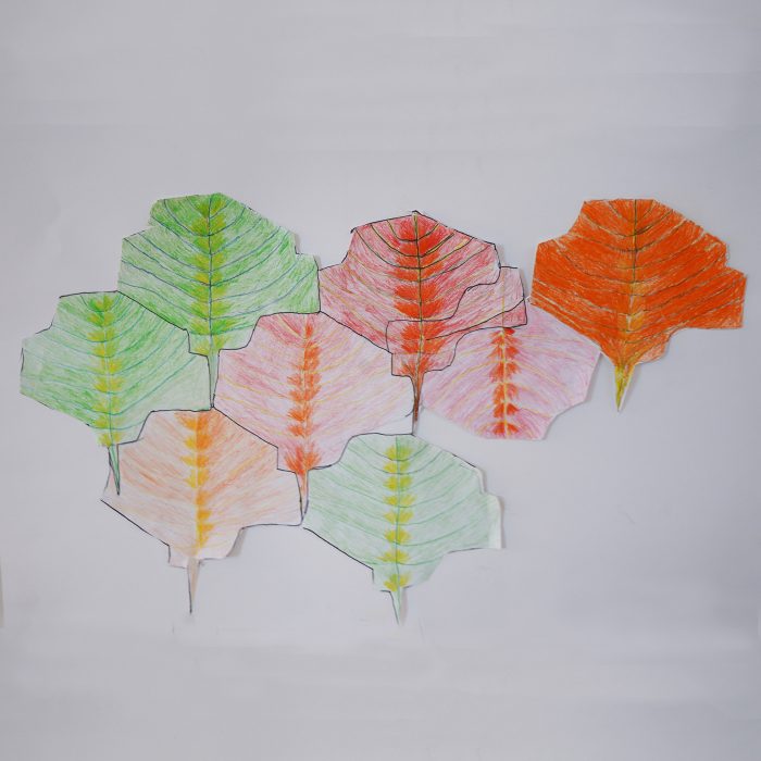 Leaf tessellation