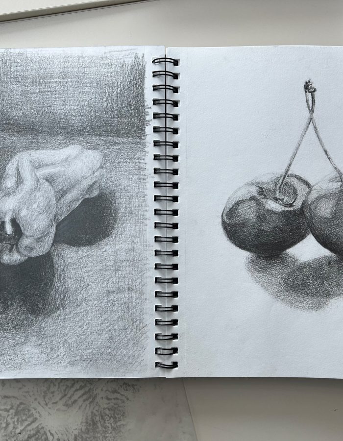 Sketches of fruit.