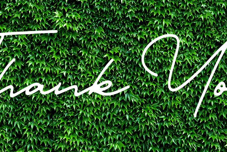 Ivy wall that says "Thank You" in script font.