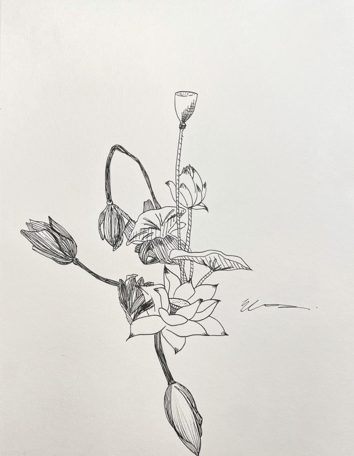 Sketch of flowers.