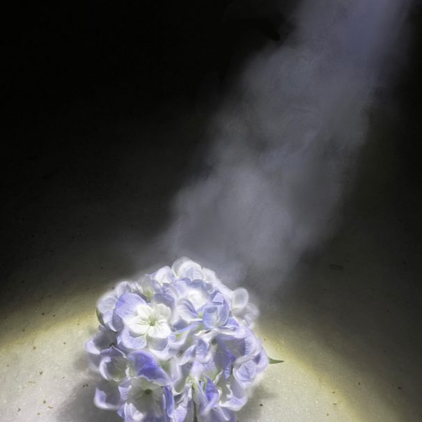 Photo of a flower with steam coming off it.