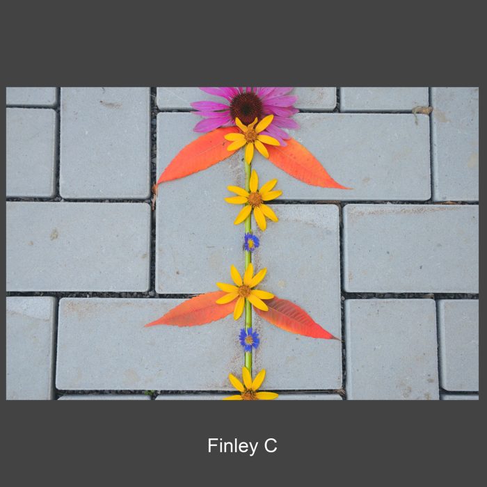 Flower art inspired by artist Andy Goldworthy