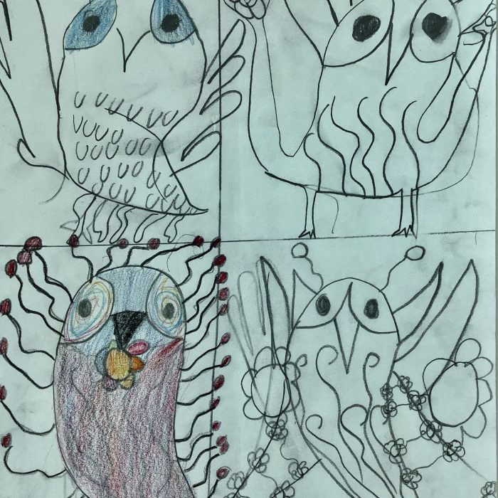 Drawing of magical owls