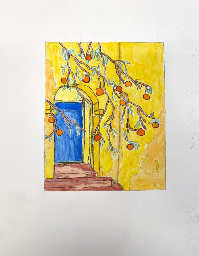 Drawing of a yellow wall with a blue door and a plant growing around it.