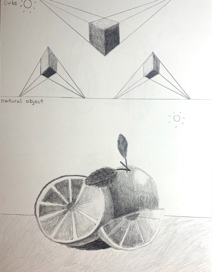 Sketches of shapes (fruit and 3D triangles)