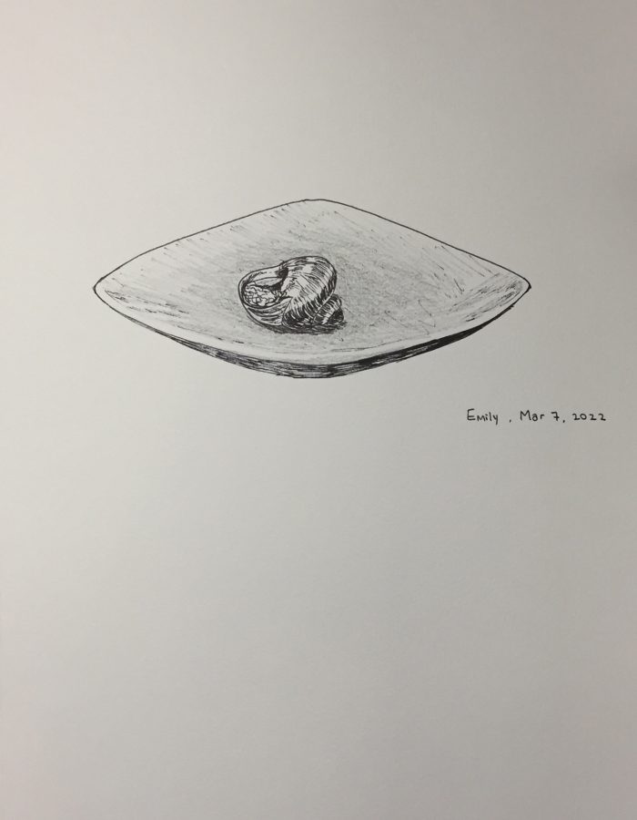 Sketch of a snail on a plate.