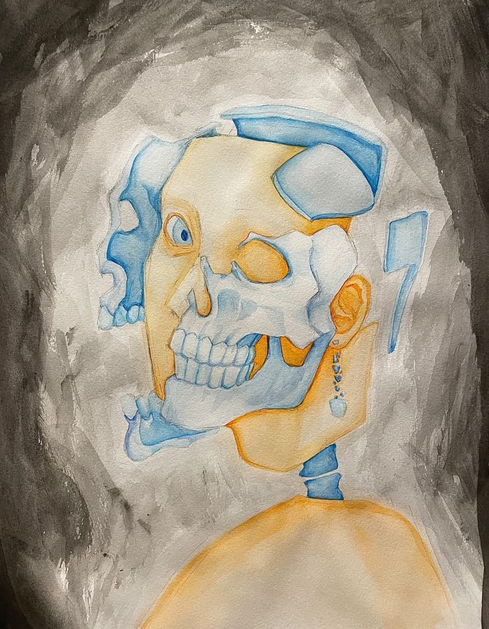 Abstract sketch of a face/skeleton.