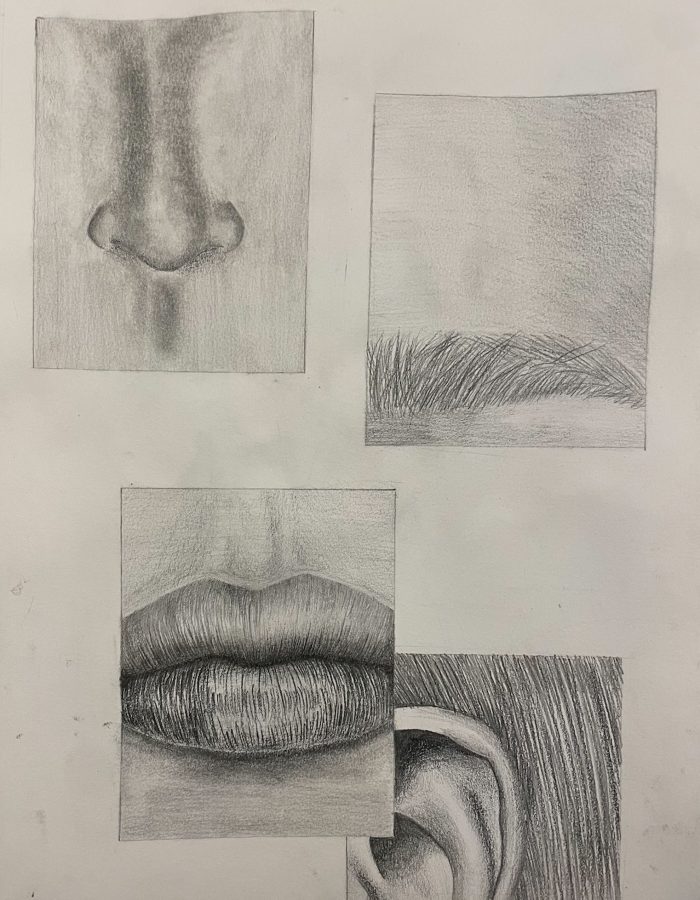 sketch of parts of a face