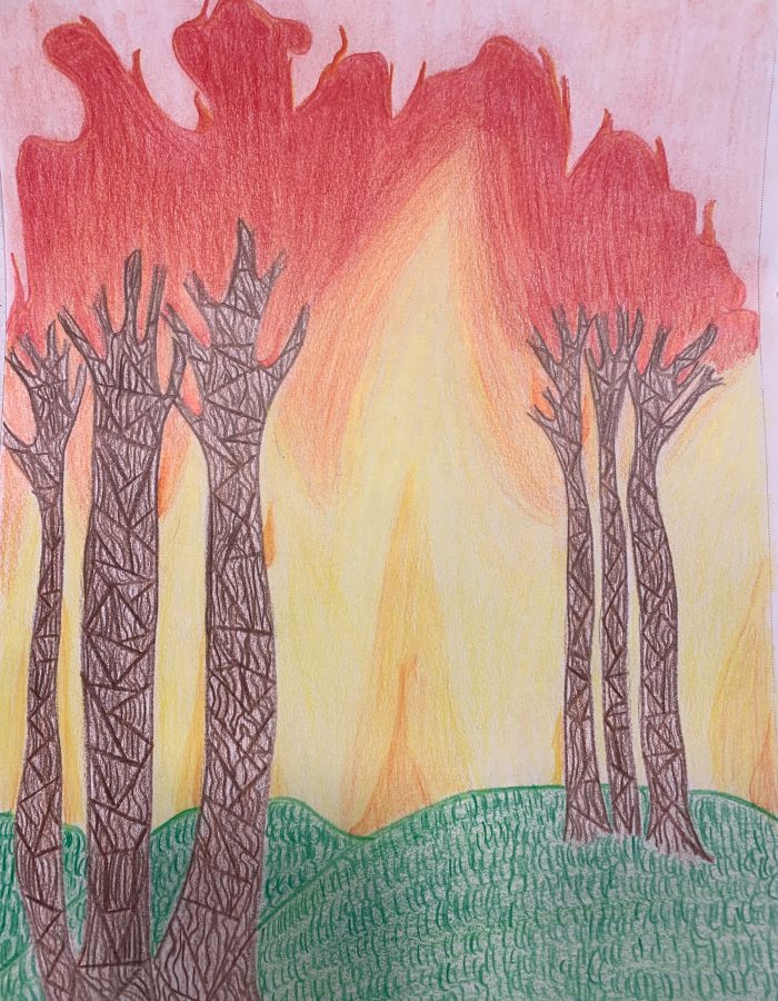 Drawing of a forest fire.