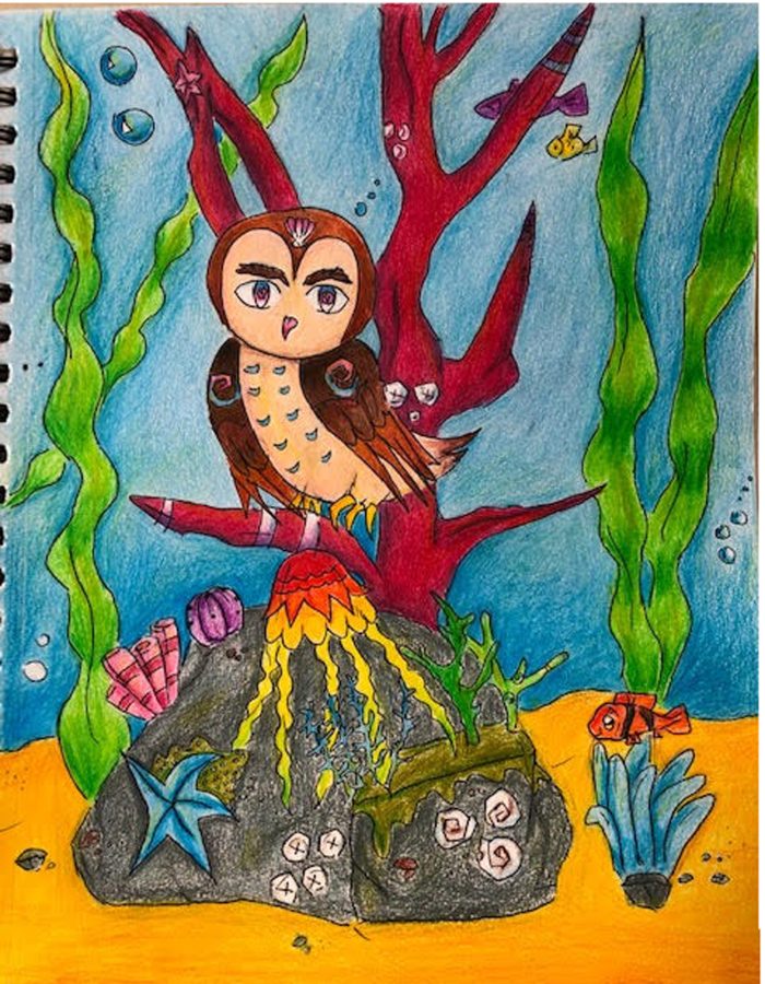 Drawing of an owl at the bottom of the ocean.