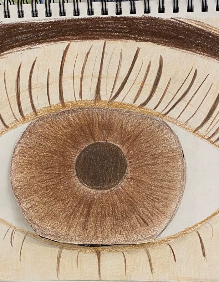 Drawing of an eyeball.