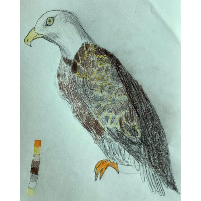 Drawing of an eagle.