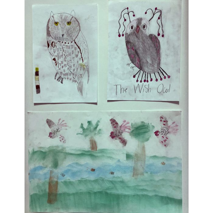 Drawings and paintings of owls.