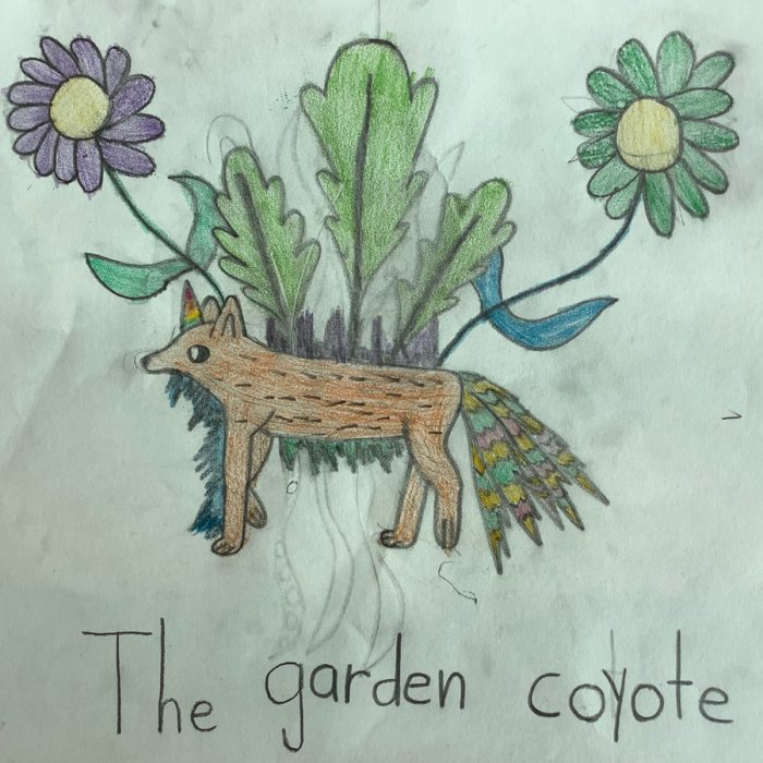 Drawing of The Garden Coyote.