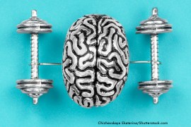 Creative composition made of a steel copy of a human brain lifting dumbbells. The concept of brain exercises to strengthen the mind. Image copyright to Chizshevskaya Ekatarina/Shutterstock.com